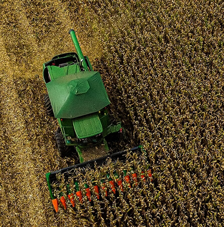 Vista aérea em plongée de uma colheitadeira verde avançando em uma plantação de milho pronta para a colheita, cortando as fileiras secas da lavoura.