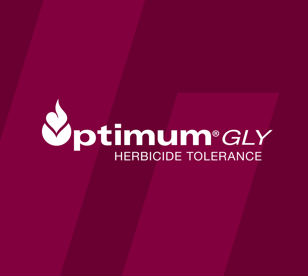 OptimumGLY Logo