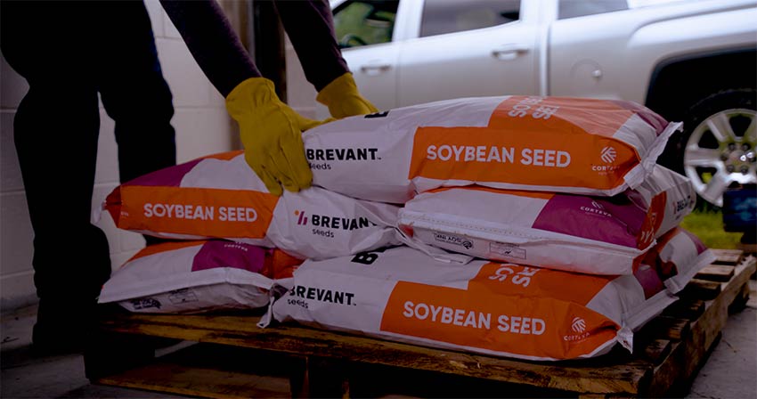Brevant soybean seed bags