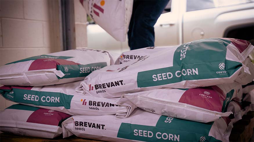 Brevant corn seed bags