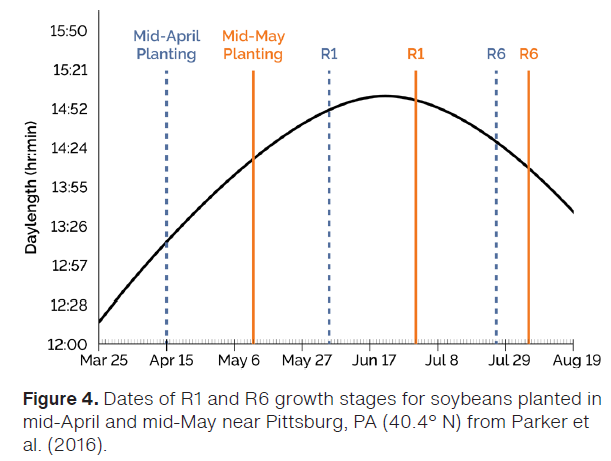 Day Length Growing Stages Chart