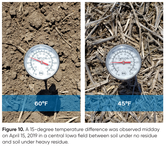 Soil Thermometers Show Temperature Difference in Iowa Field