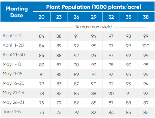 Corn Yield Percentages by Planting Date and Population