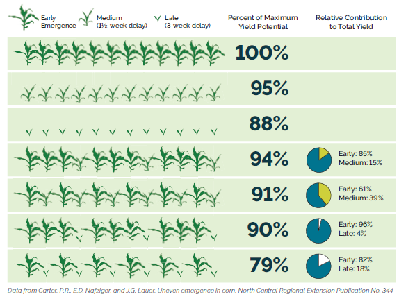 Adjusted Gross Income by Planting Date and CRM Range