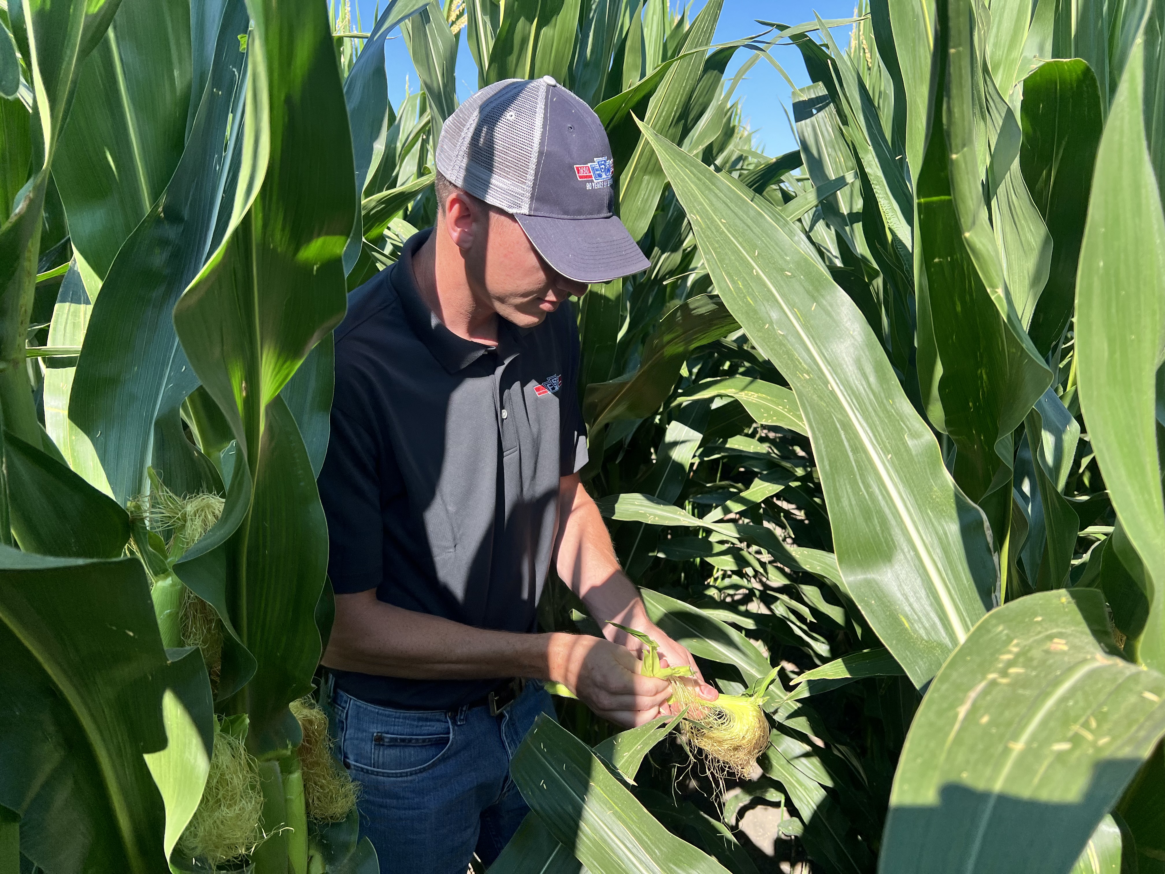 Agronomist James Kein