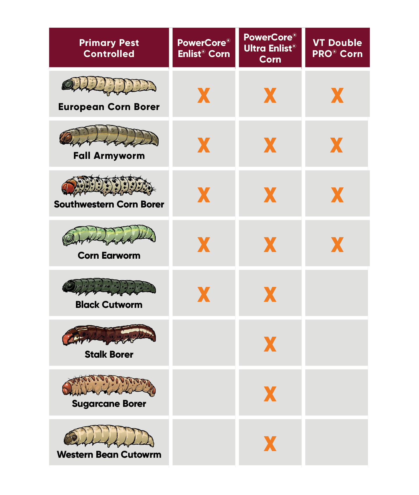 powercore enlist beetle comparison chart